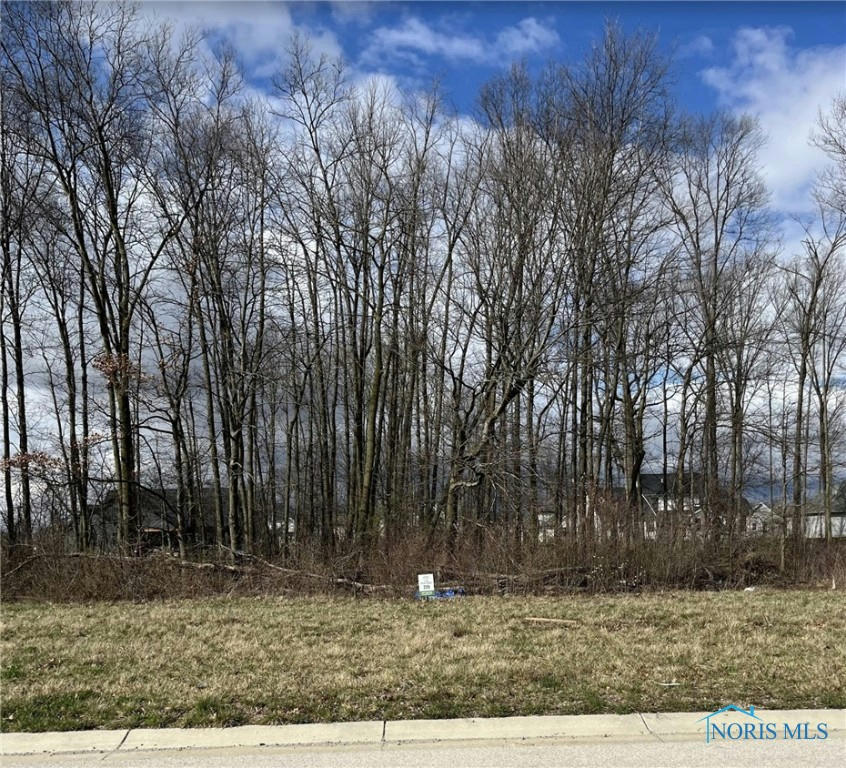 8472 JUSTIN LN, MONCLOVA, OH 43542, photo 1 of 2