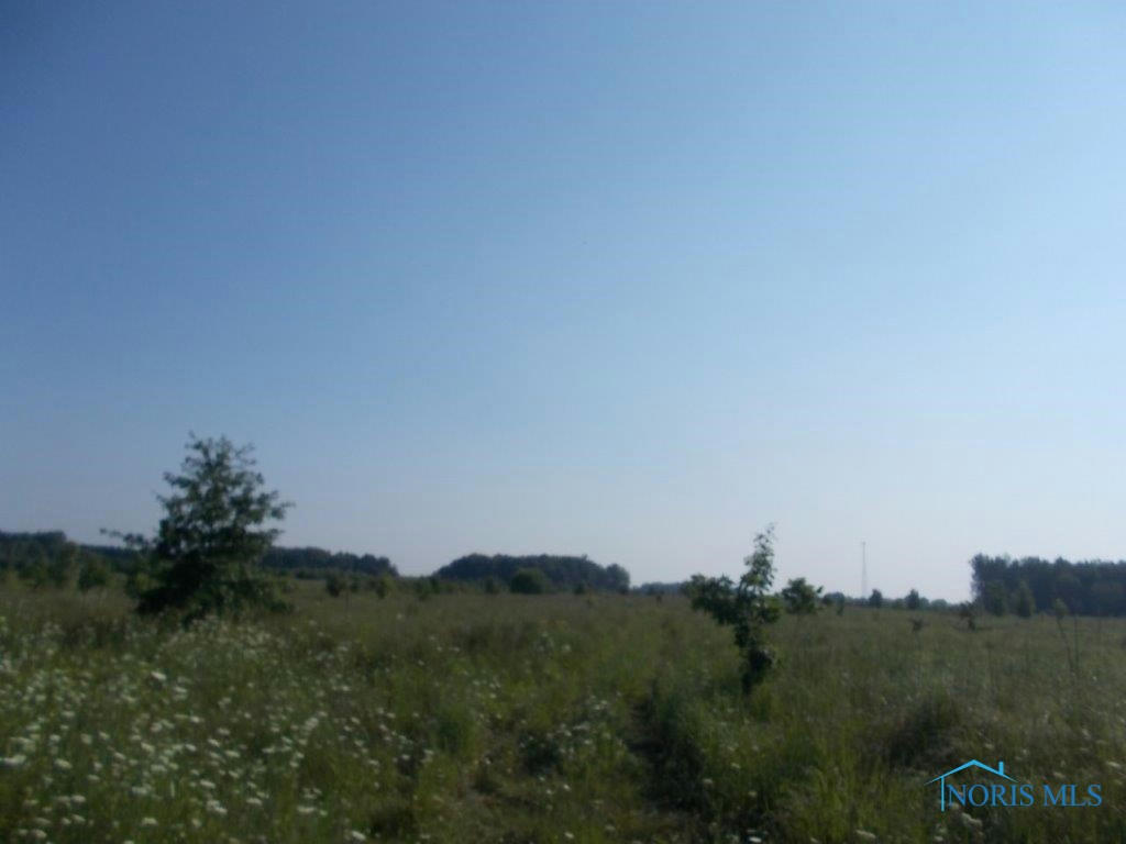 0 COUNTY ROAD 6 - LOT 6, LIBERTY CENTER, OH 43532, photo 1 of 38