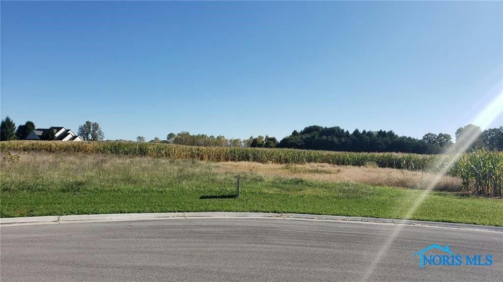 LOT #30 ARIEL COURT, LIBERTY CENTER, OH 43532, photo 1 of 3