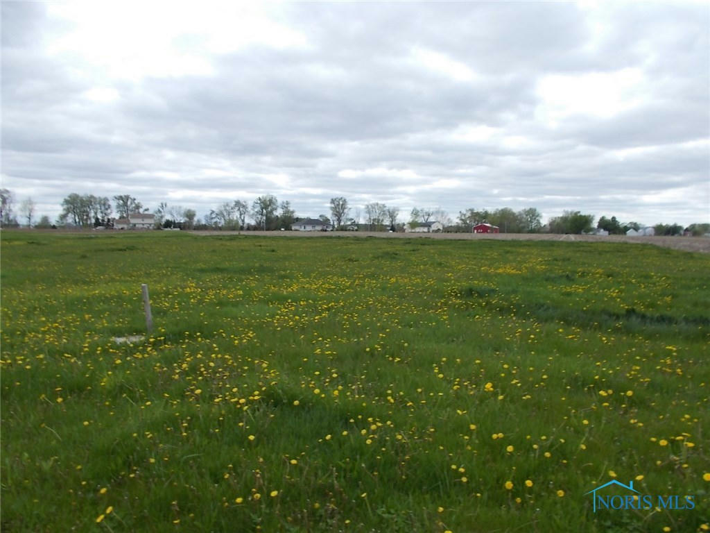 00 ST. RT. 109-BUILDABLE LOT, MALINTA, OH 43535, photo 1 of 2