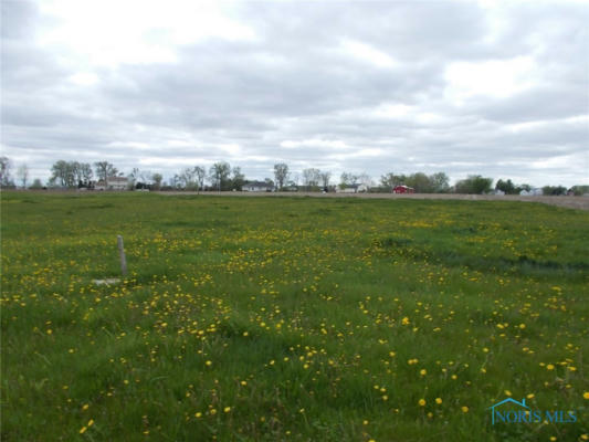 00 ST. RT. 109-BUILDABLE LOT, MALINTA, OH 43535 - Image 1